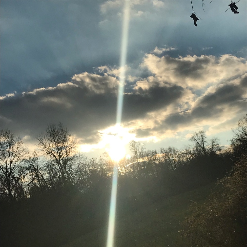 Meet your Posher, Molly